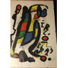 JOAN MIRO'