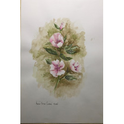 Acquerello floreale decorativo