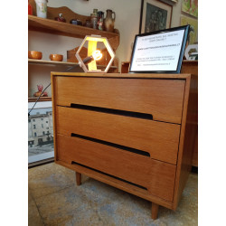 Cassettiera mid-century John & Sylvia Reid