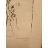 Mattioli Carlo litografia